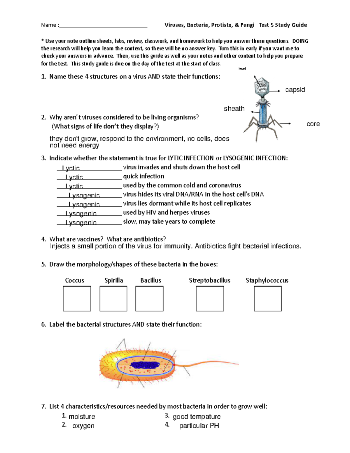 B5 Viruses, Bacteria, Protista, Fungi New Study Guide - Name