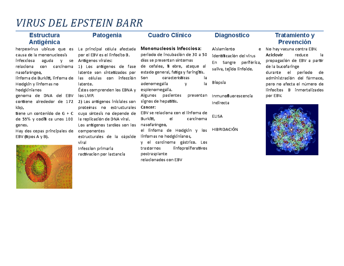 Virus DEL Epstein BARR Resumen Microbiología y parasitología VIRUS Virus DEL Epstein BARR Resumen Microbiología y parasitología VIRUS