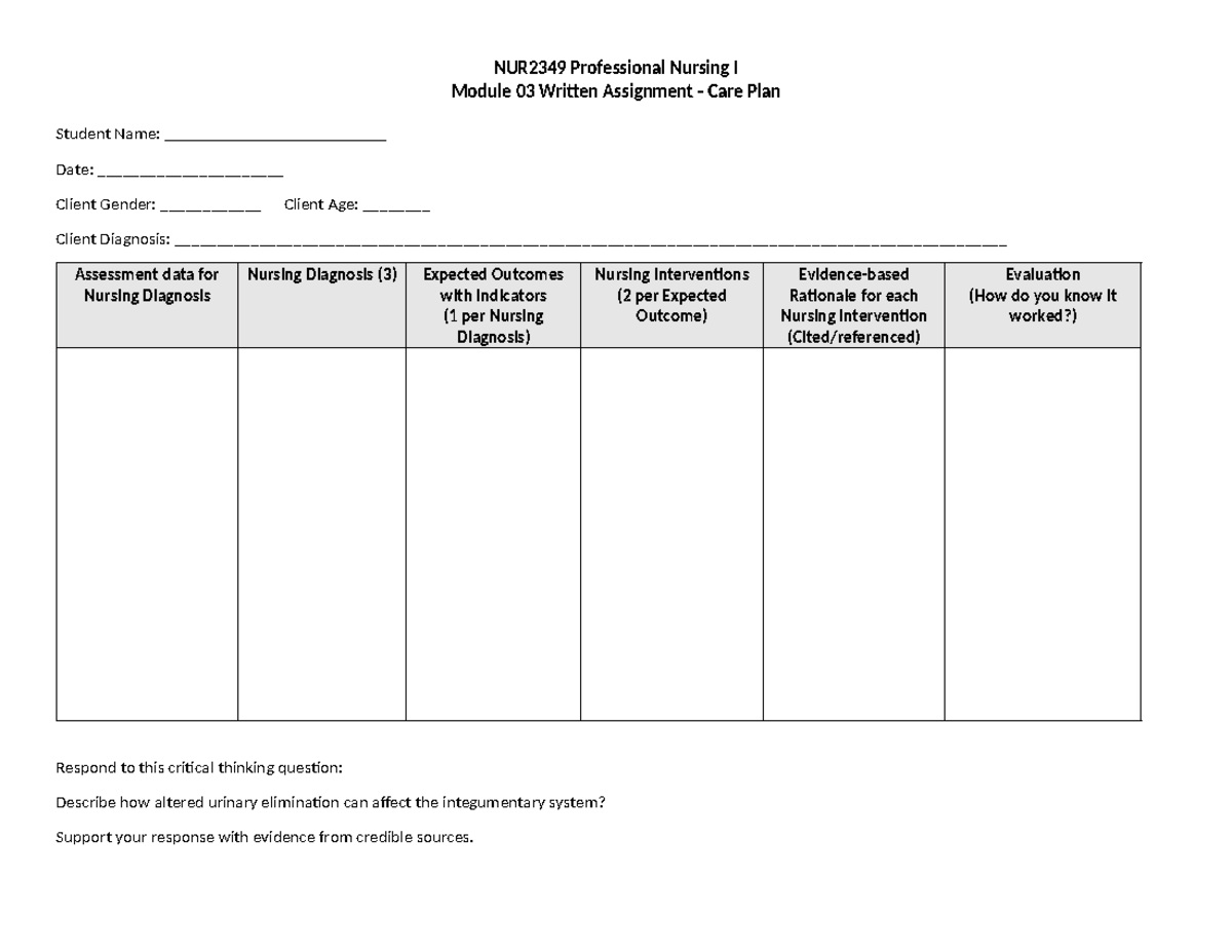 Care plan - notes - NUR2349 Professional Nursing I Module 03 Written ...