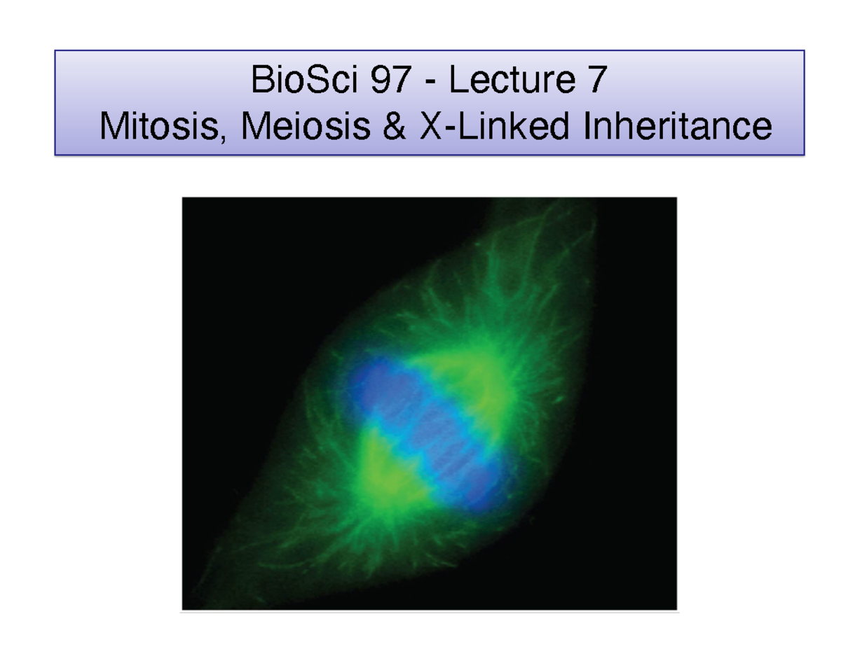 Lecture 7 2021 slides - not for this school at all. this is not it for ...