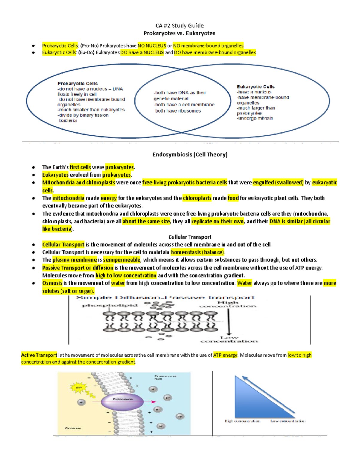 CA 2 Study Guide 20.docx - Prokaryotes vs. Eukaryotes Prokaryotic Cells ...