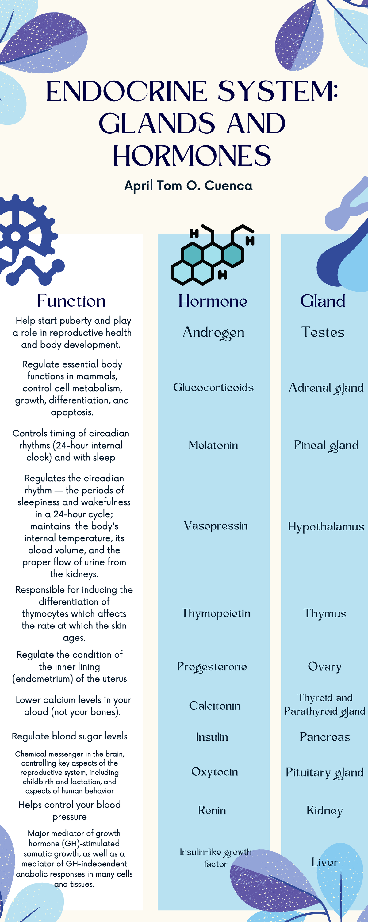 ( Cuenca) Endocrine System Infographic - Endocrine System: Glands And 