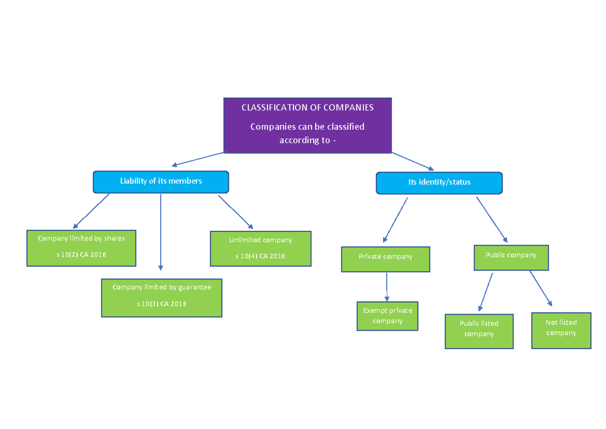 Chapter 2: Classification Of Companies Notes (plus Charts ...