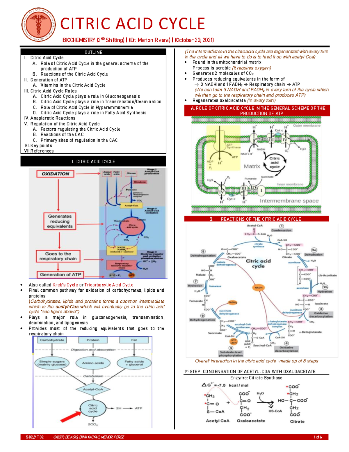 Citric Acid Cycle - S 02 // T 02 CAISIP, DE ASIS, DIMAYACYAC, MENOR ...