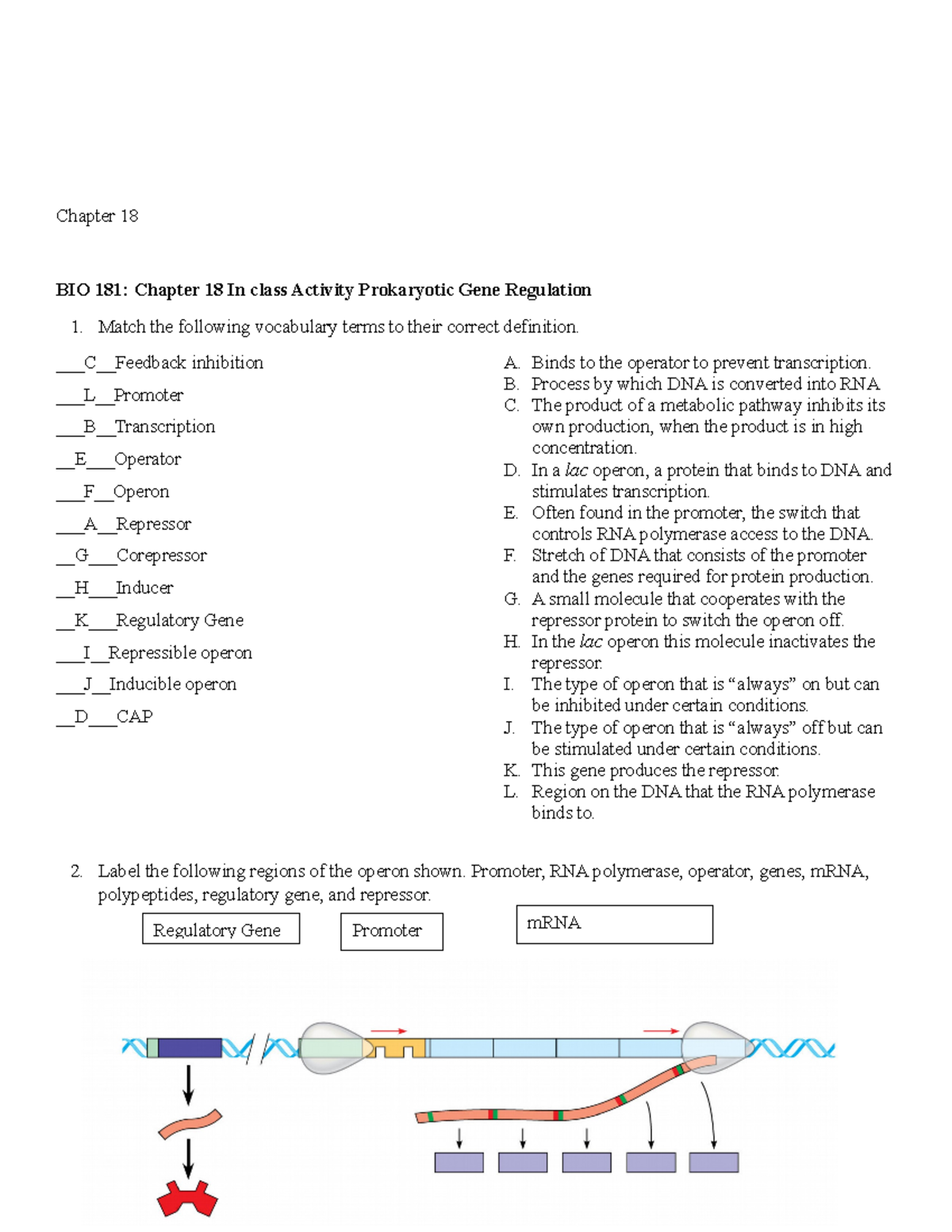 WEEK 14-HW-Ch 18 - Hmw Week 14 - Chapter 18 BIO 181: Chapter 18 In ...