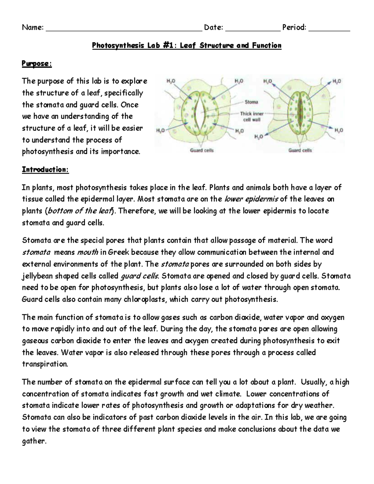 Photosynthesis Lab lab Name