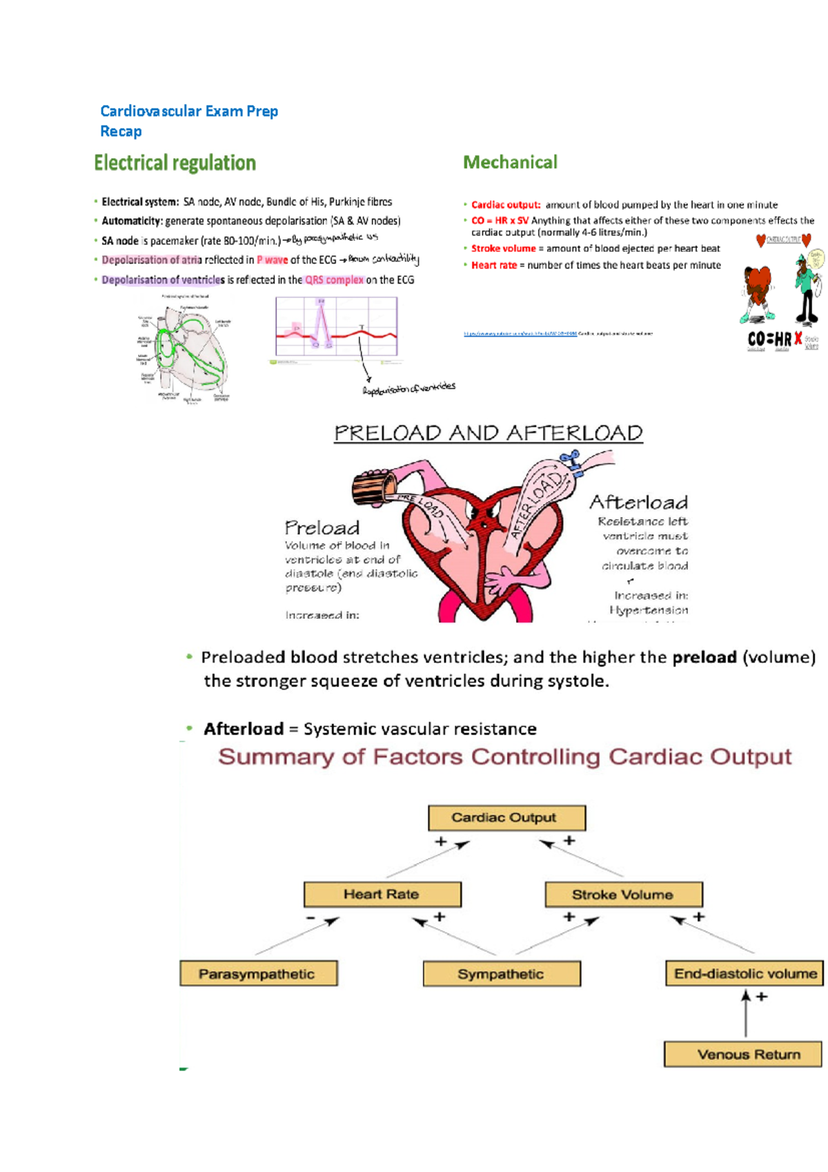 Cardiovascular Exam Prep - Integrated Nursing Science - AUT - Studocu