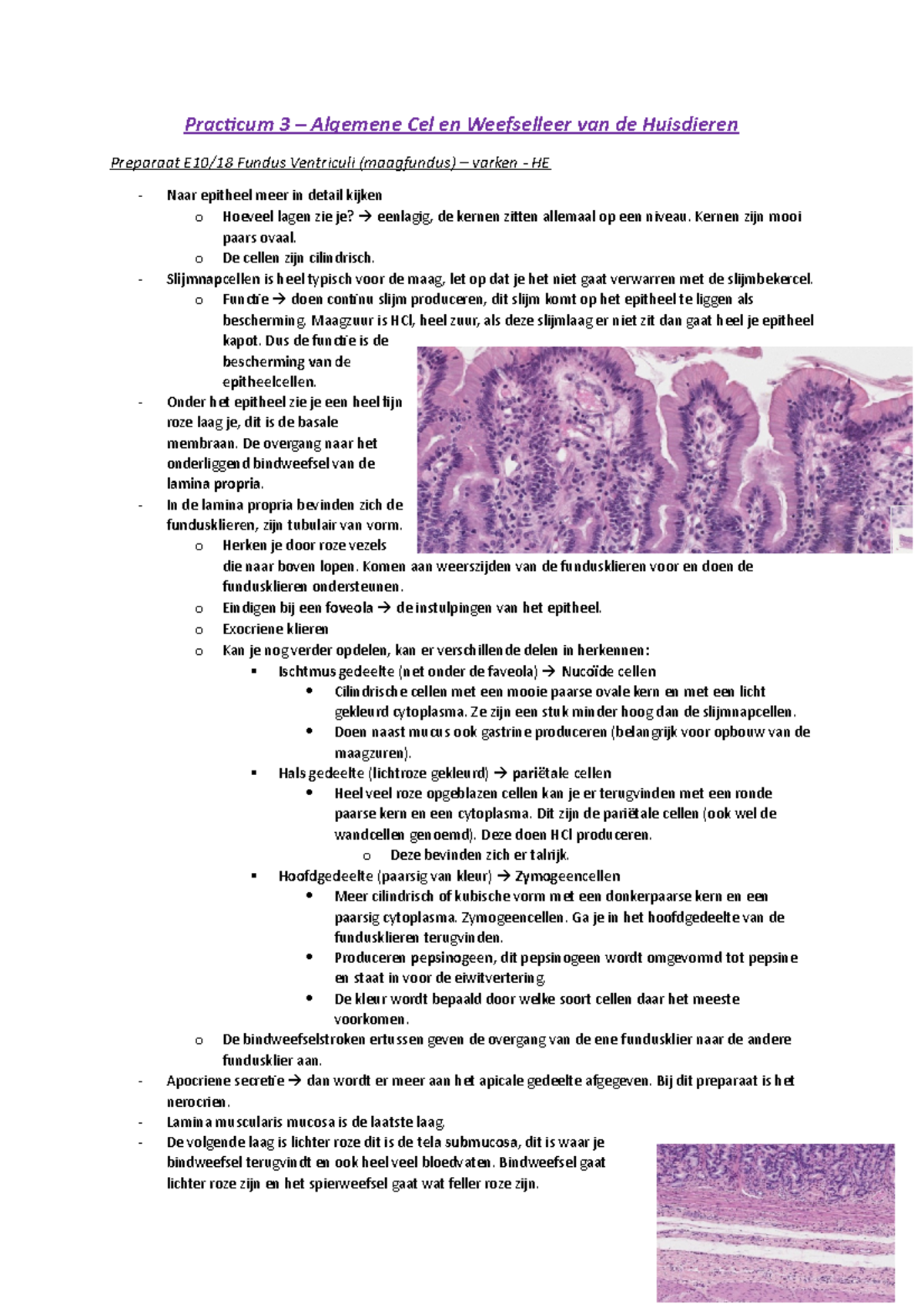 Practicum 3 - Algemene Cel- En Weefselleer Van De Huisdieren ...