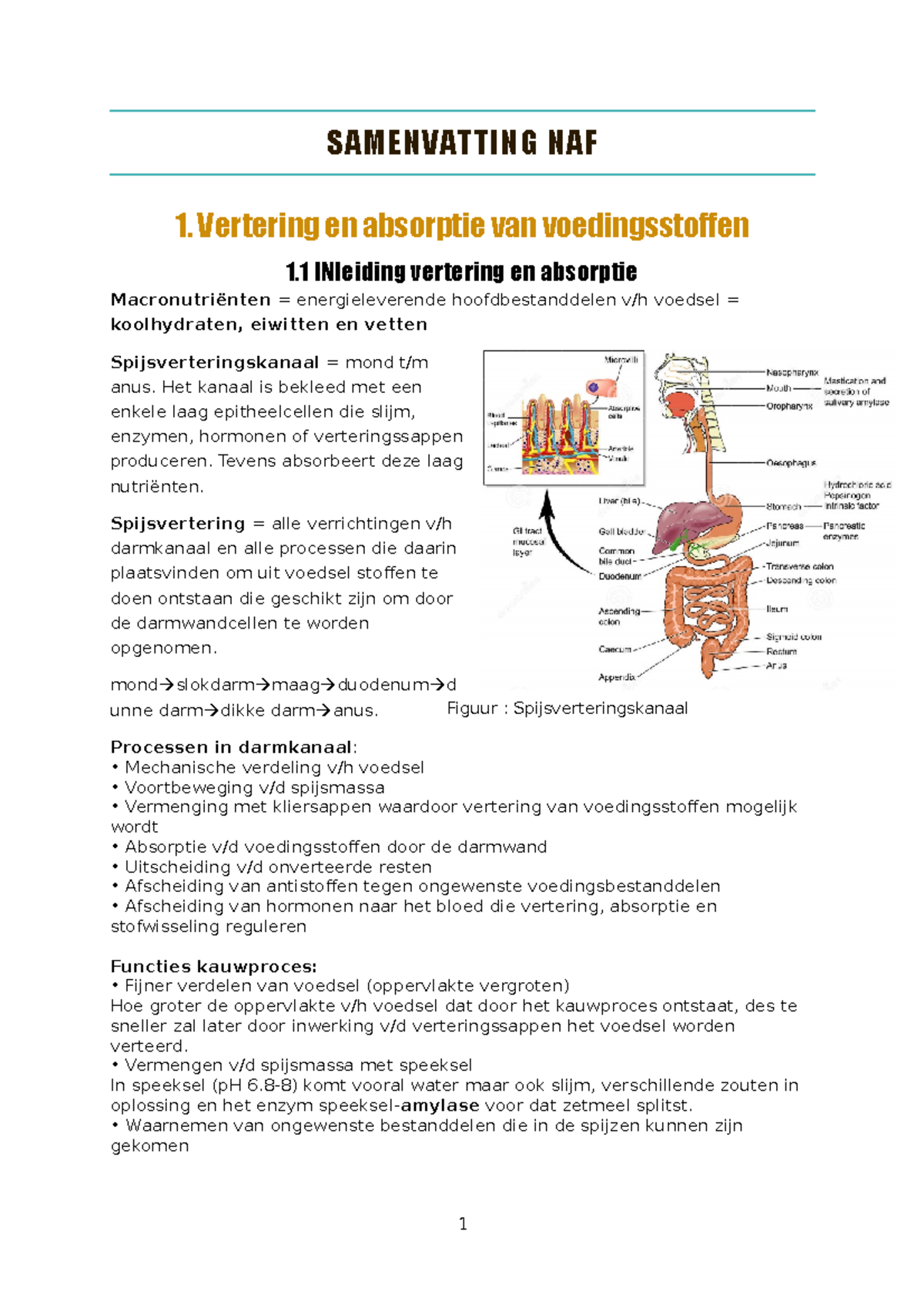 Samenvatting - Reader NAF - SAMENVATTING NAF 1. Vertering en absorptie ...