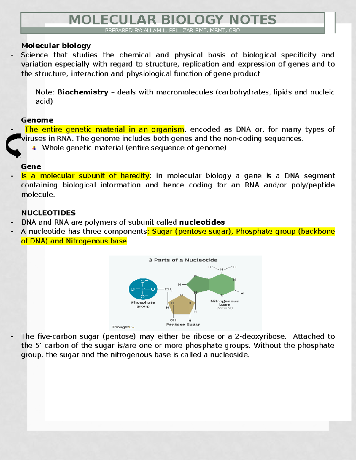 Molecular Biology Notes 22 Molecular biology Science that studies the