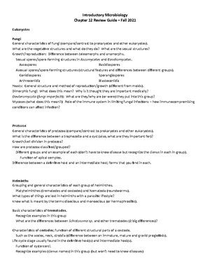 Intro Micro Chapter 14 Lec Outline F2022 - Lecture Outline Chapter 14 ...