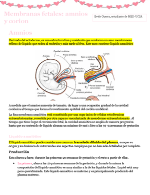 Ovario - Estructuras a reconocer en láminas prácticas - Histología y ...