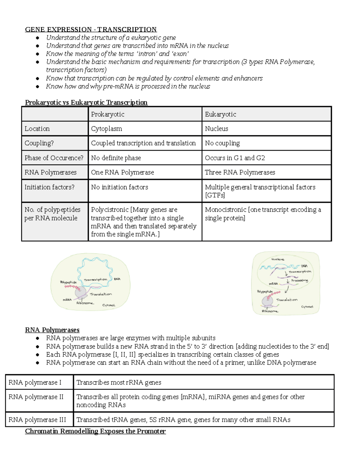 GENE Expression - Transcription - GENE EXPRESSION - TRANSCRIPTION ...