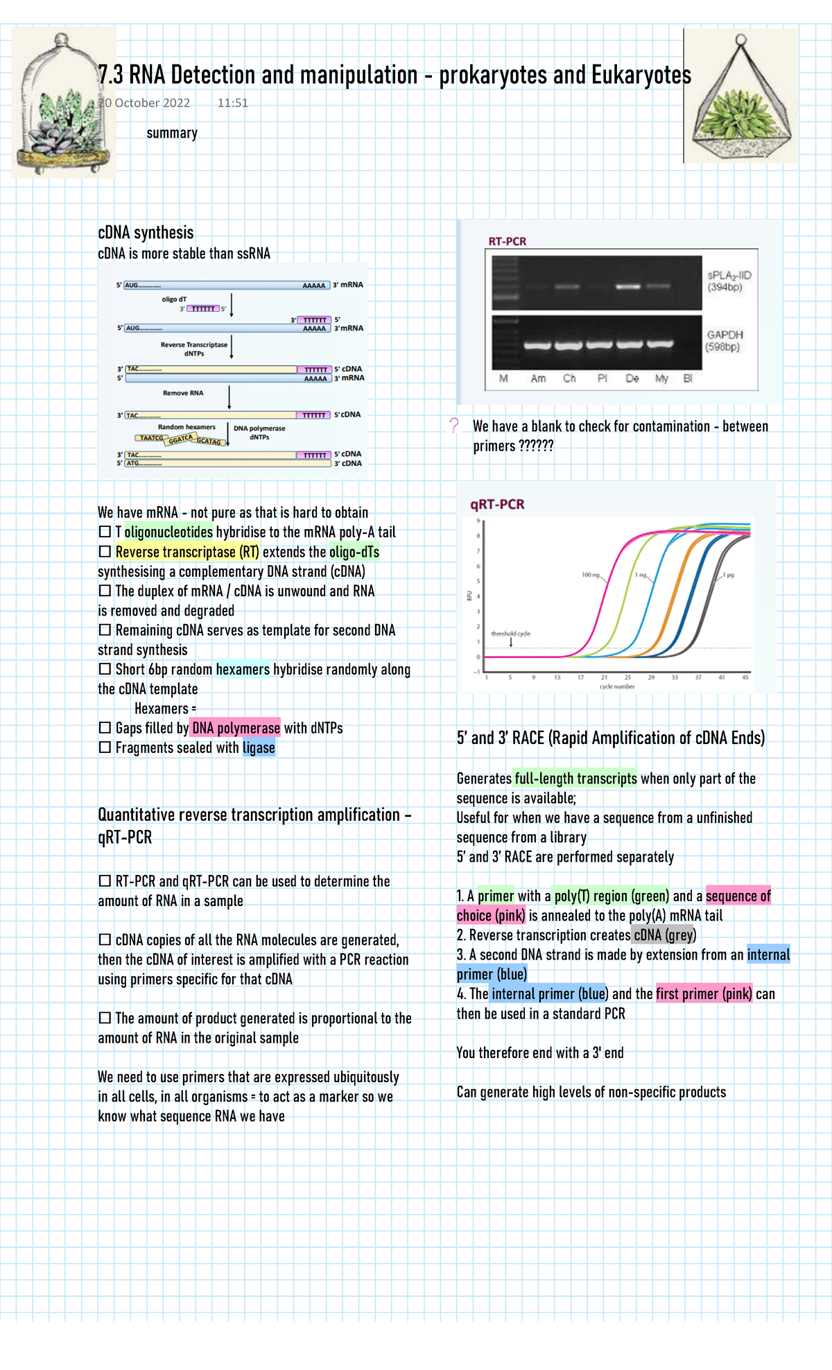 Week3 Lecture7 page4 cDNA synthesis cDNA is more stable than ssRNA We