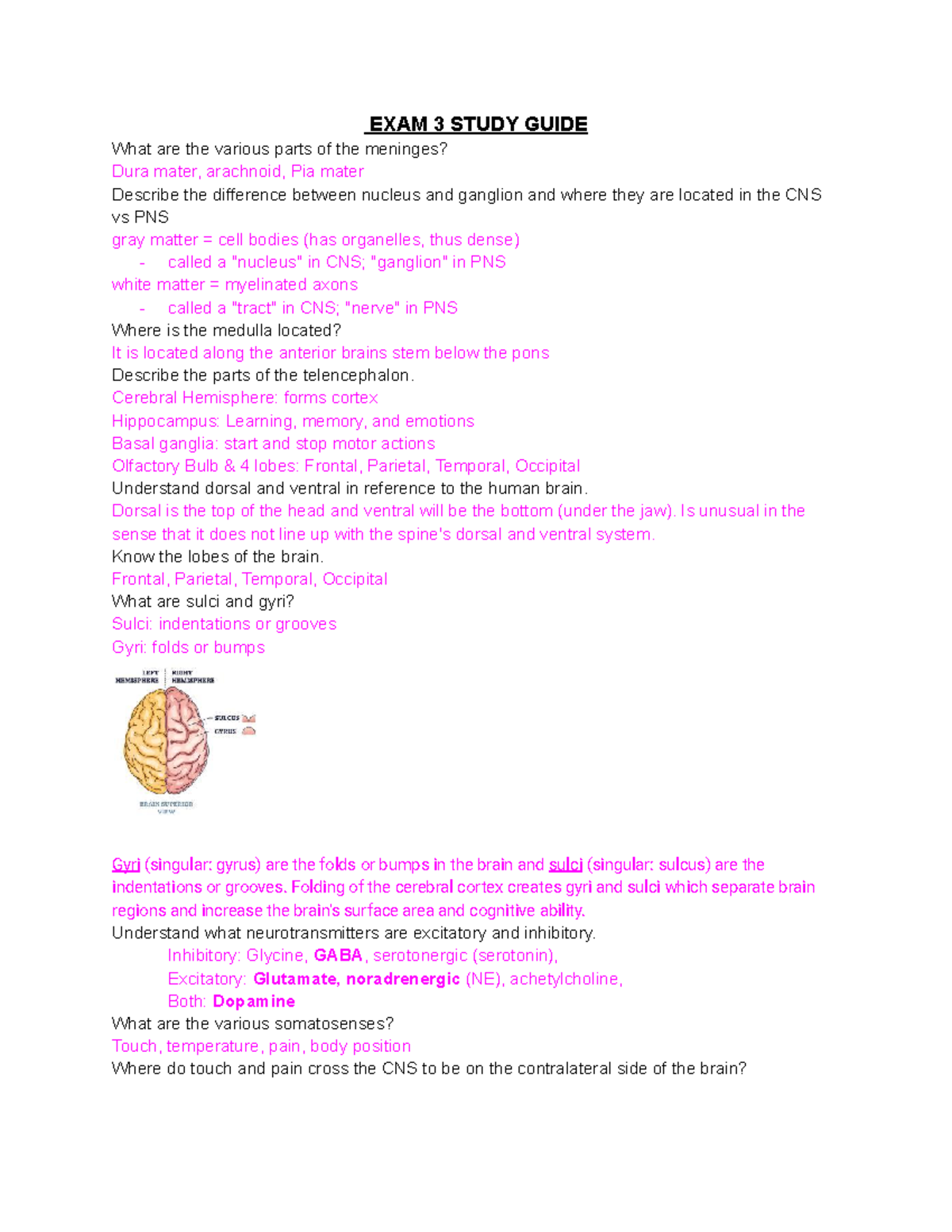 Exam 3 Study Guide Exam 3 Study Guide What Are The Various Parts Of