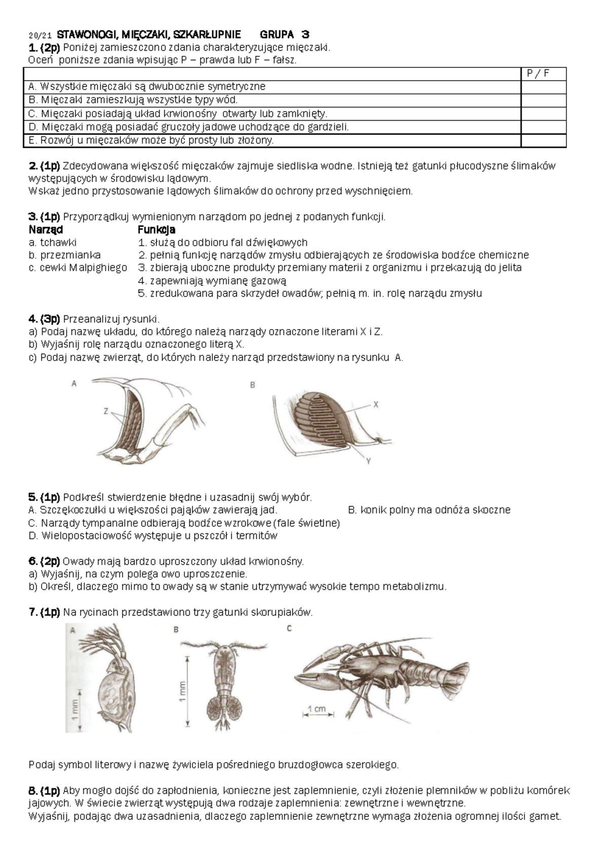 Stawonogi I Mięczaki Sprawdzian Klasa 6 Pdf www.studocu.com