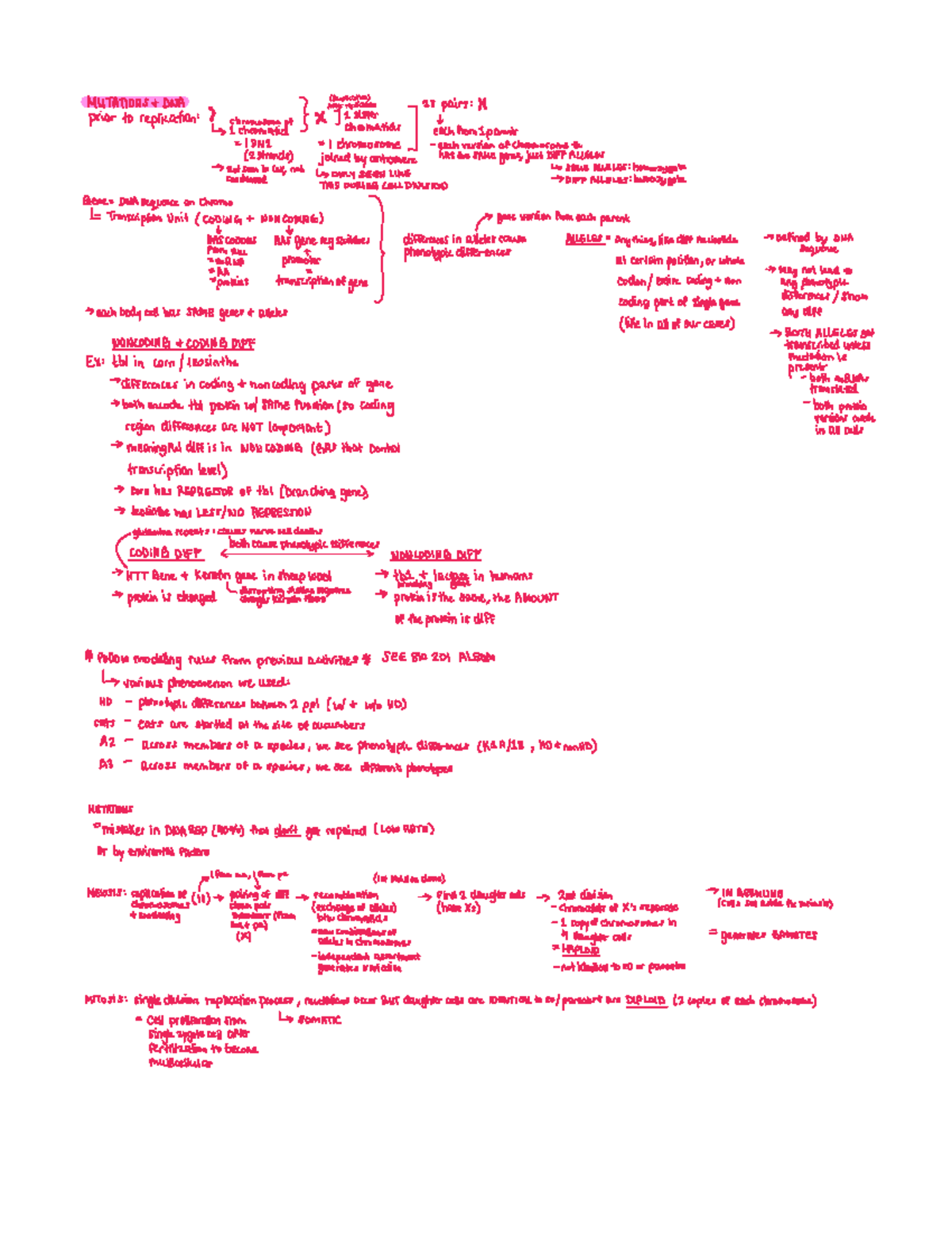 Bio 201 Review Session Notes Exam 1 Bio 115 Studocu