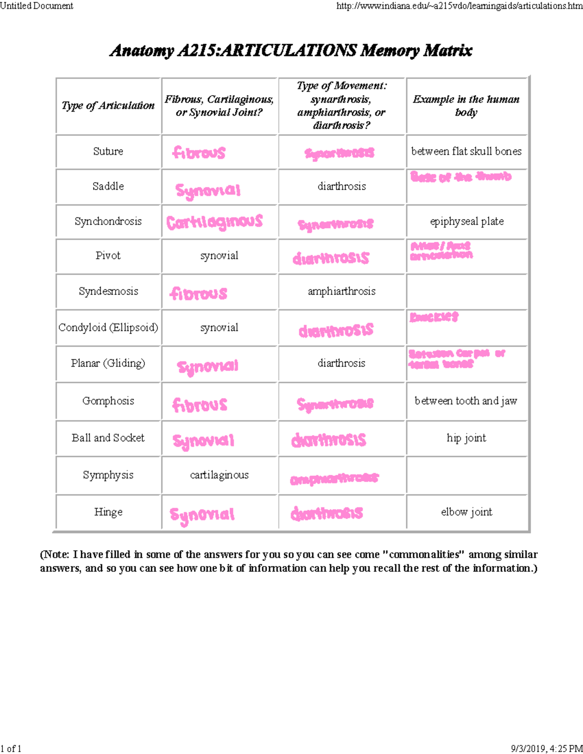 Articulations memory matrix - Type of Articulation Fibrous ...