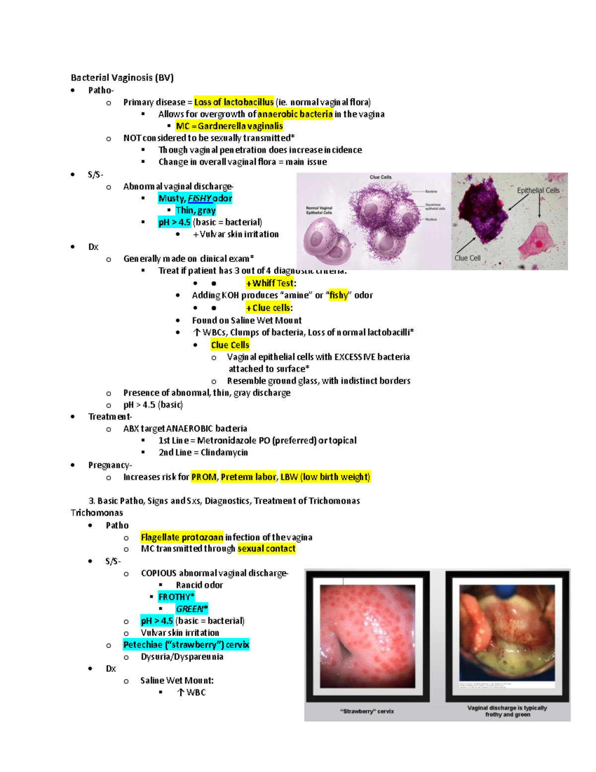 Candida And Bv At The Same Time BV, Trich, Candidiasis - Bacterial Vaginosis (BV) Patho- o Primary