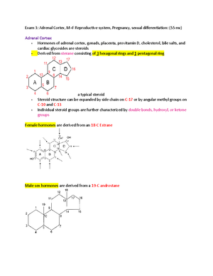 Pathophys Test 2 - Exam 2 study guide - Pathophys Exam 2: 50 mc, I ...