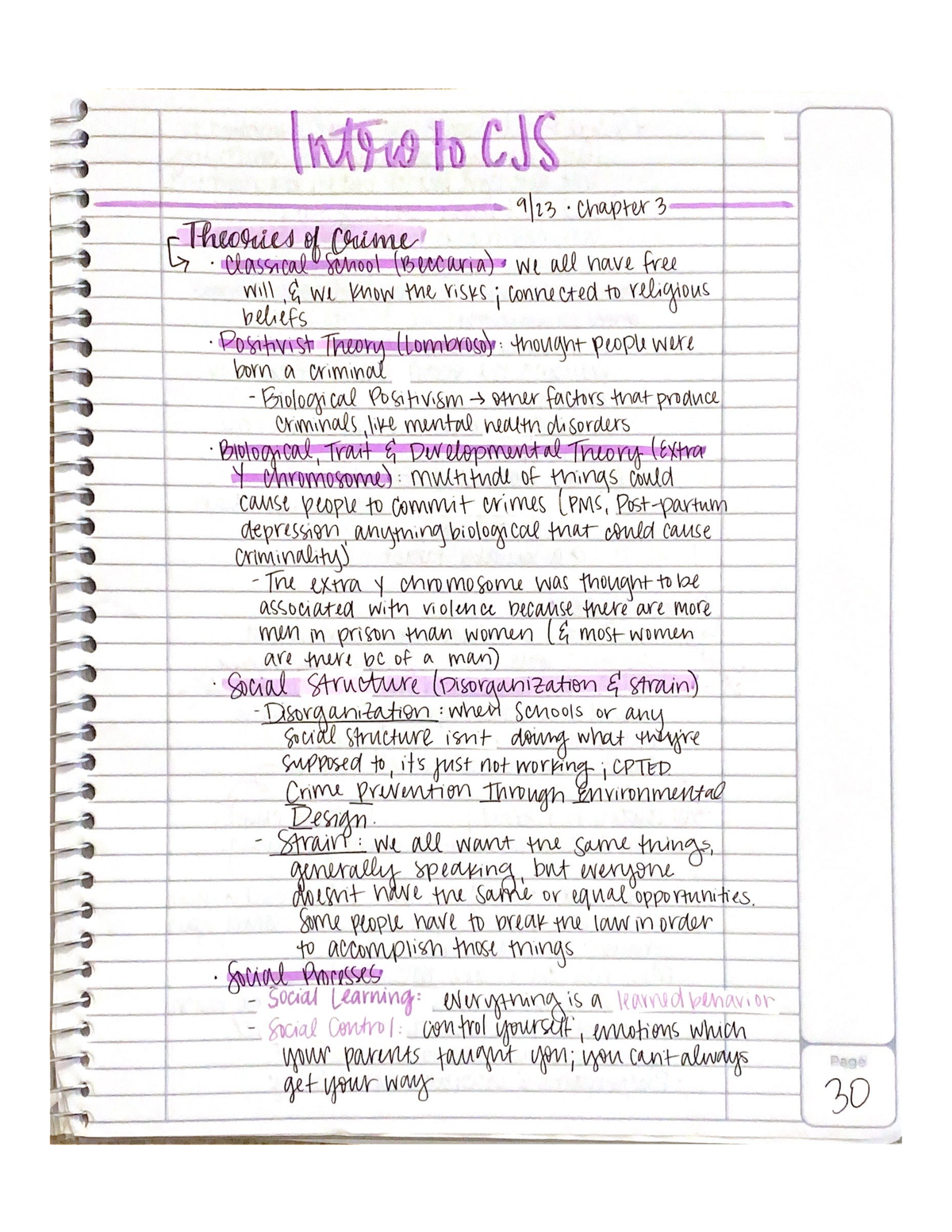 CJ 101 - Intro To The Criminal Justice System: Chapter 3 - CJ 101 - Studocu