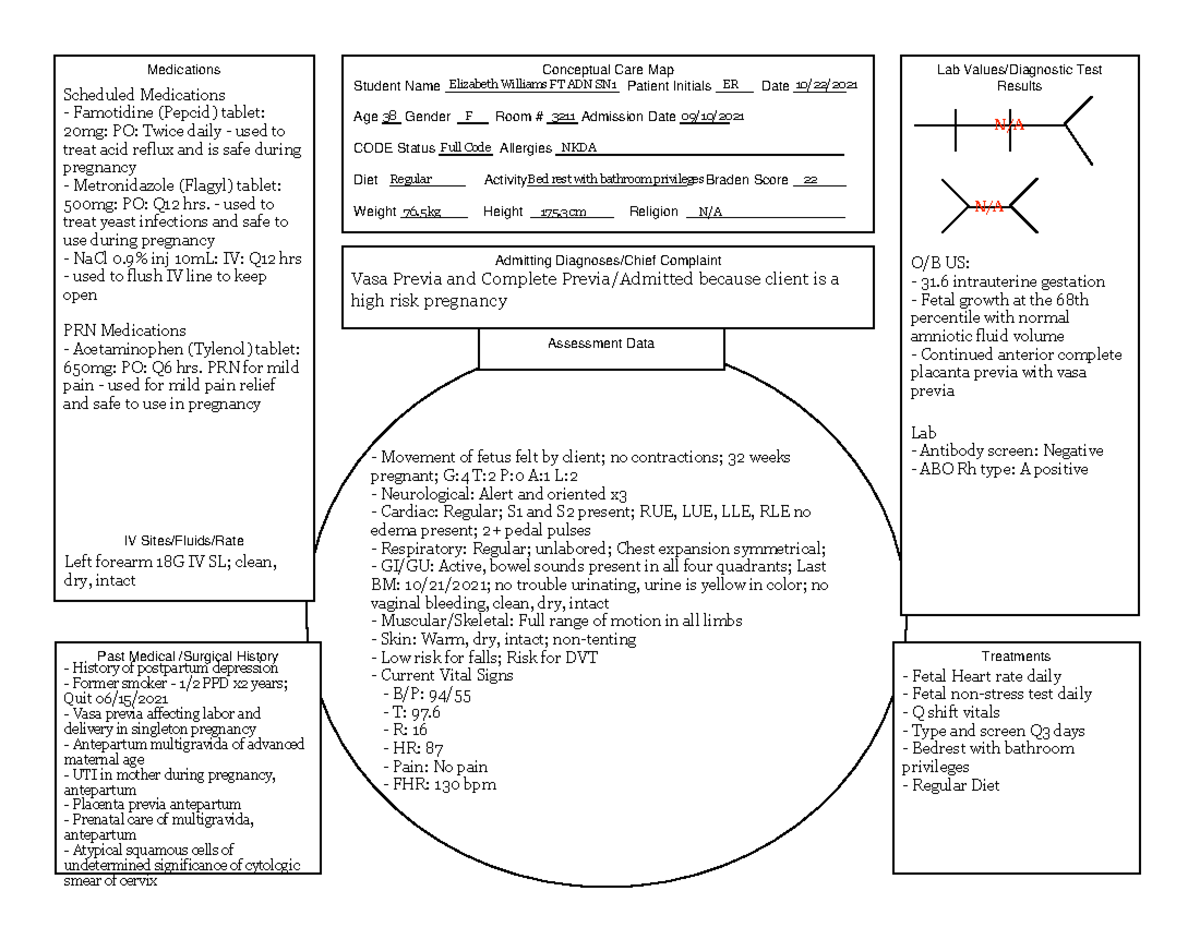 10 22 2021 Blank Conceptual Care Map - Conceptual Care Map Student Name