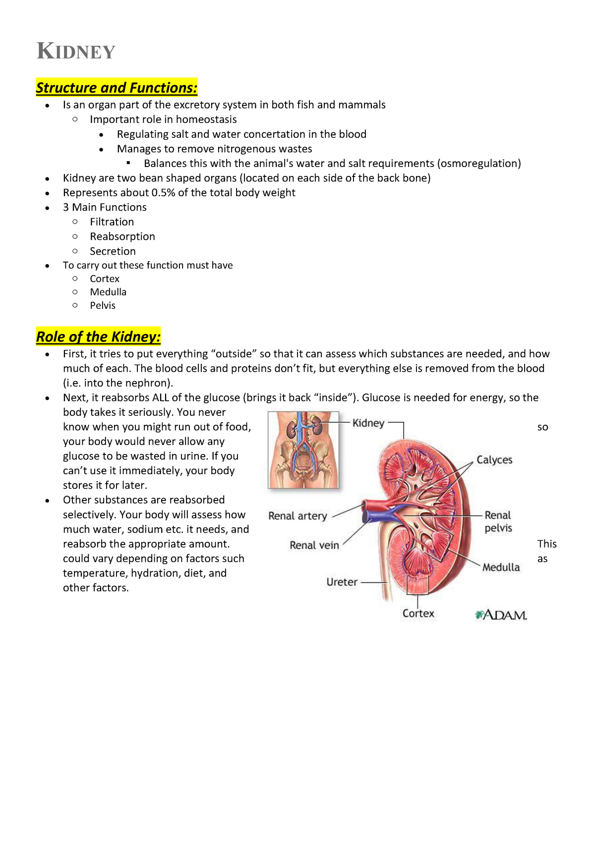 Kidney and Ear - Warning: TT: undefined function: 32 Warning: TT ...