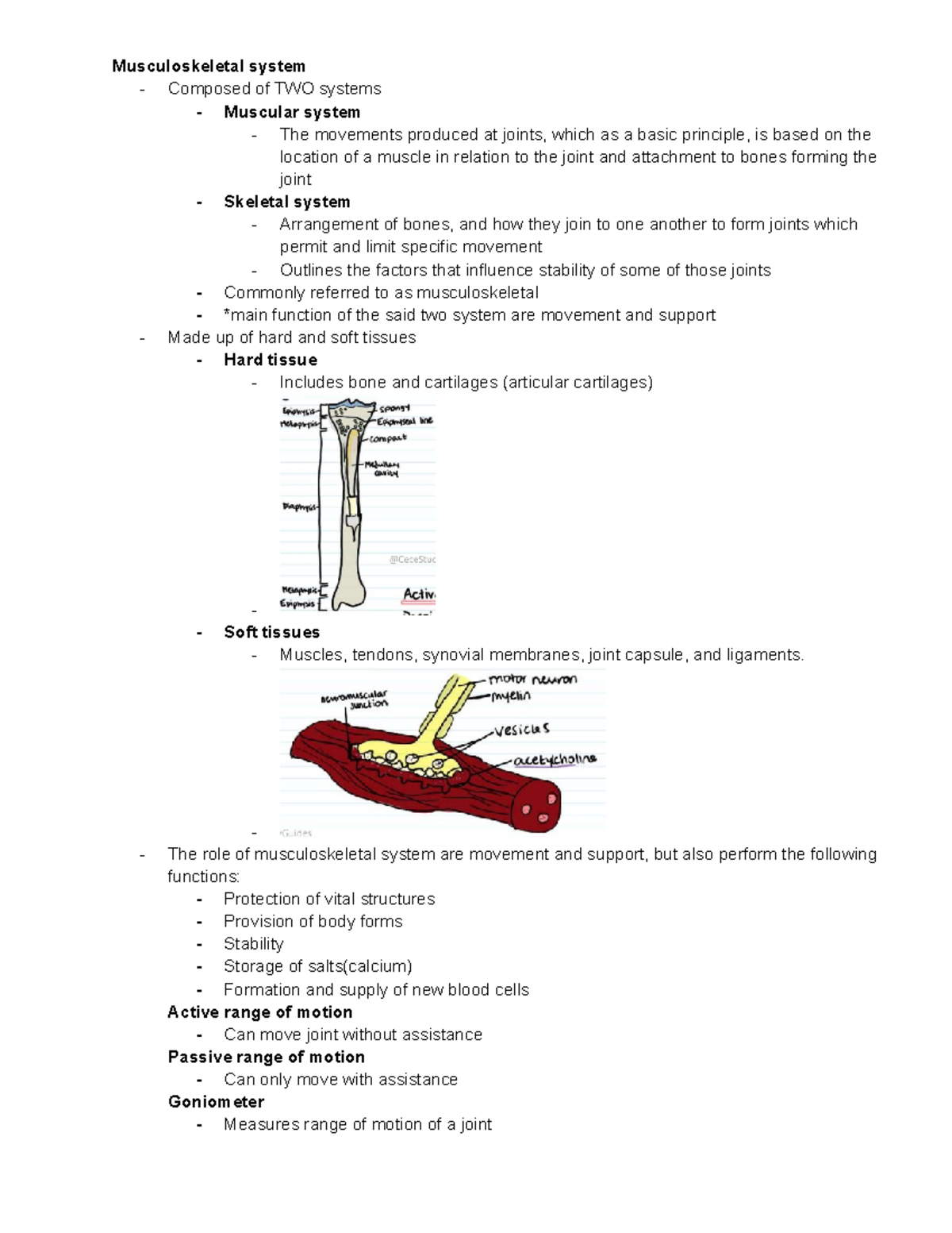 Musculoskeletal System - The role of musculoskeletal system are ...