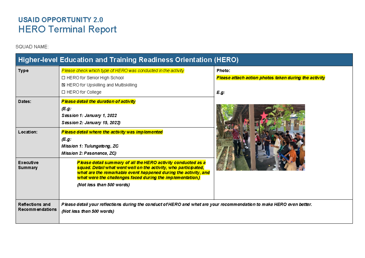 HERO Terminal Report Template - USAID OPPORTUNITY 2. HERO Terminal ...