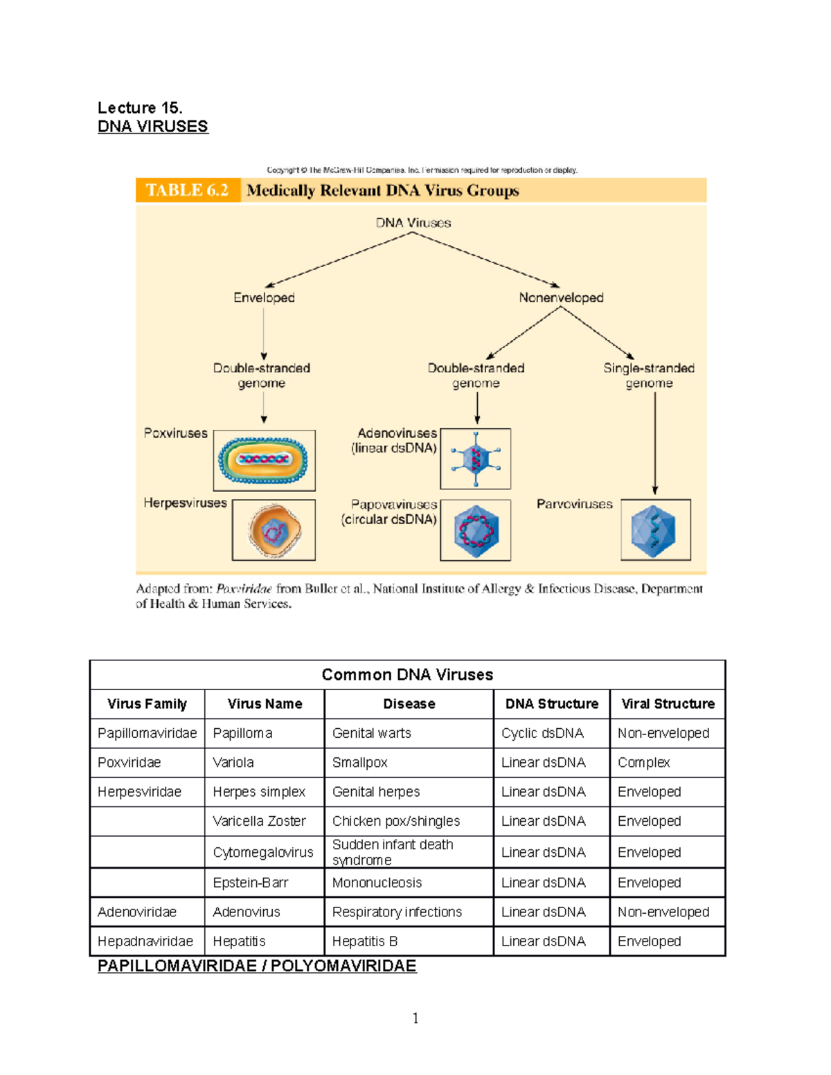 Lecture 15 handout - Matthew Jennings - Lecture 15. DNA VIRUSES Common ...