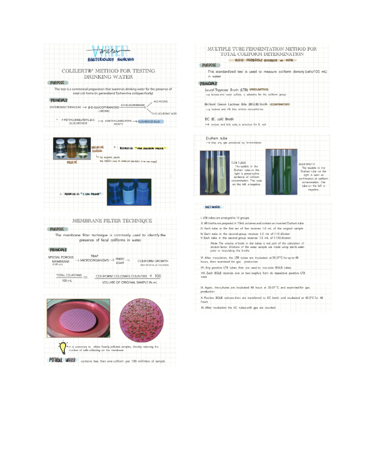 Water Bacteriology Analysis Medical Laboratory Science Studocu