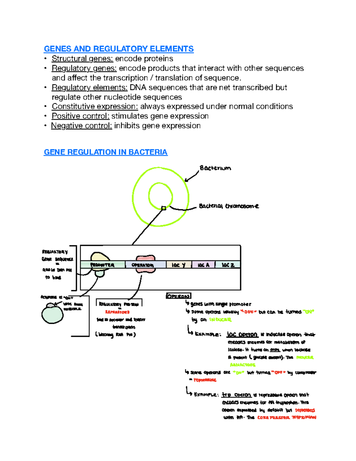 CHP 16 Control OF GENE Expression IN Bacteria - Bacterialchromosome ...