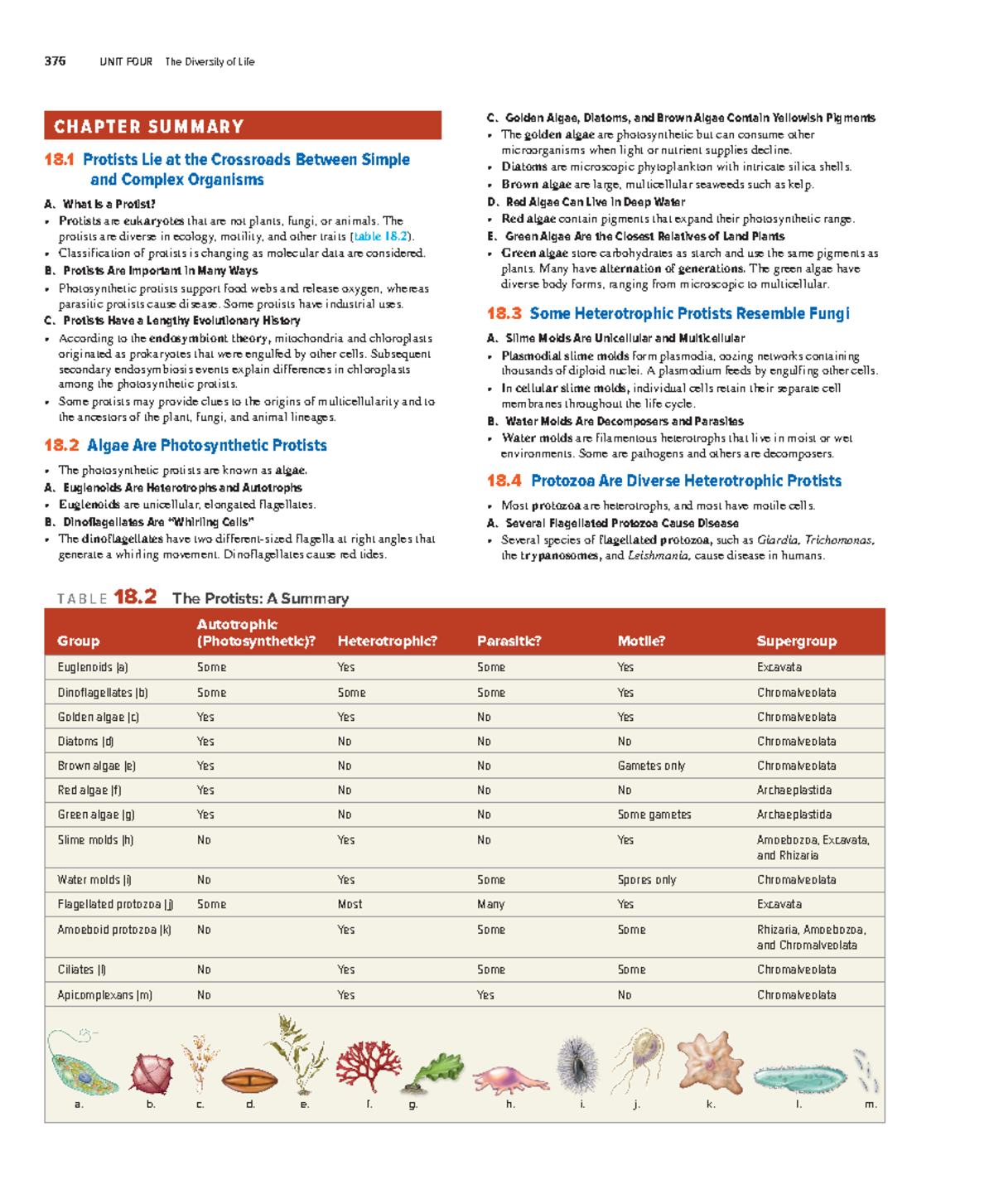 Biology Concepts and Investigations, Chapter Eighteen Review - CHAPTER ...