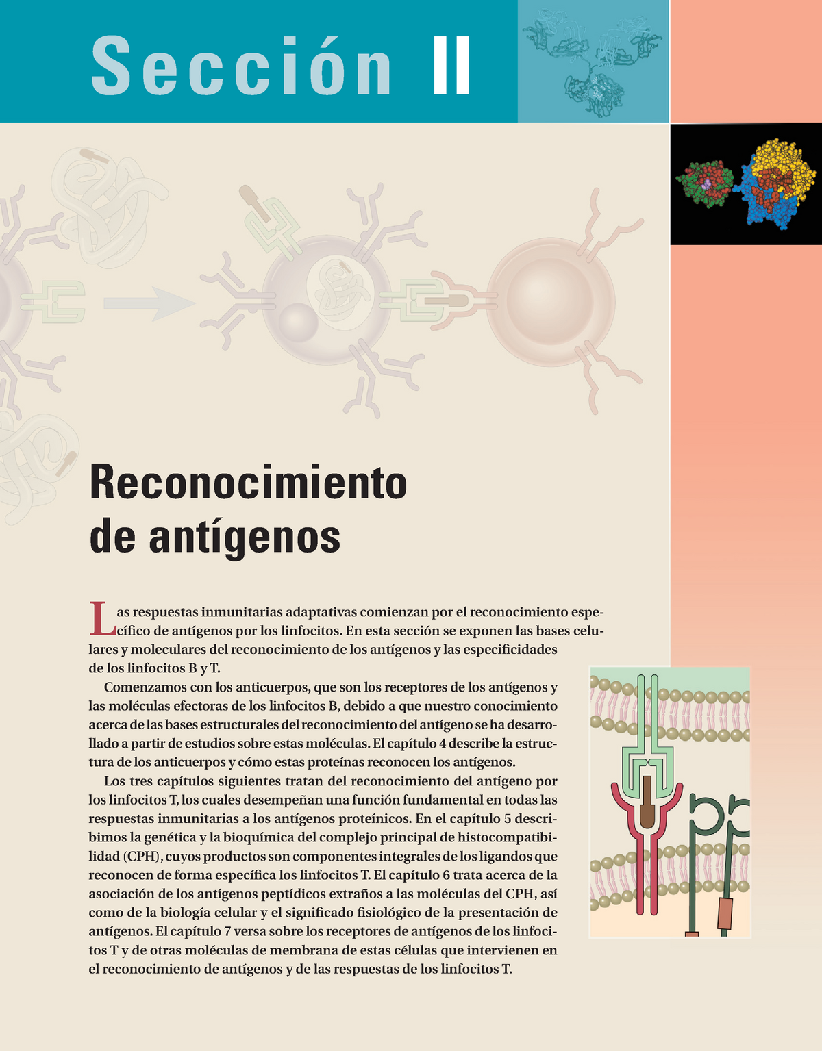 Capitulo 4 Libro Abbas Inmunologia Basica - © ELSEVIER. Fotocopiar Sin ...