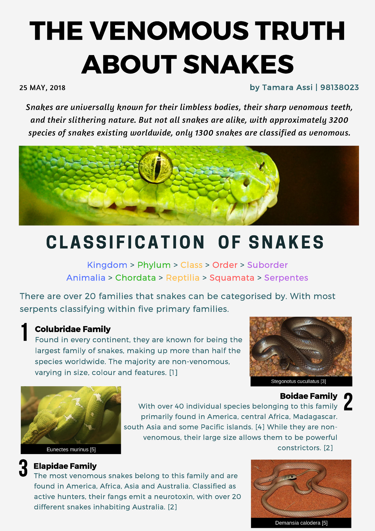 Pharmacology 2 - Assessment 3 - Snakes and Venom - CLASSIFICATION OF ...