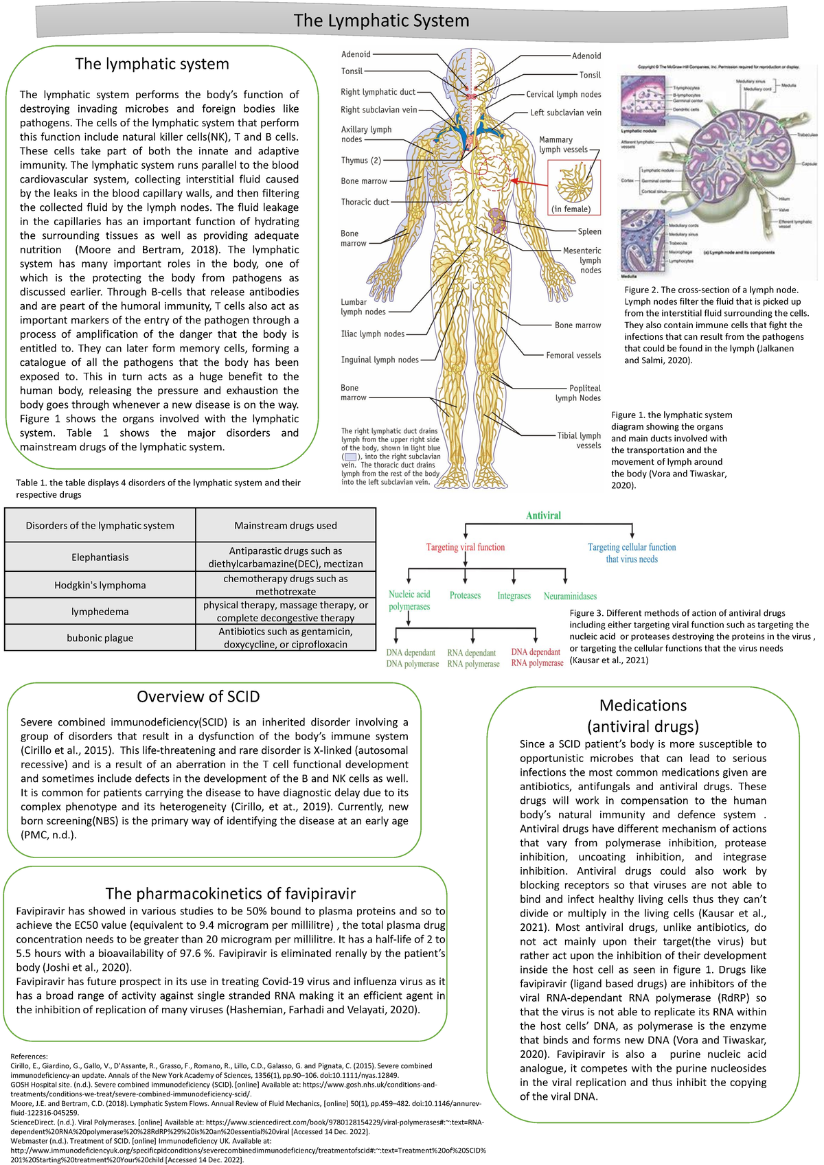 The lymphatic system - Good portfolio - The Lymphatic System The ...