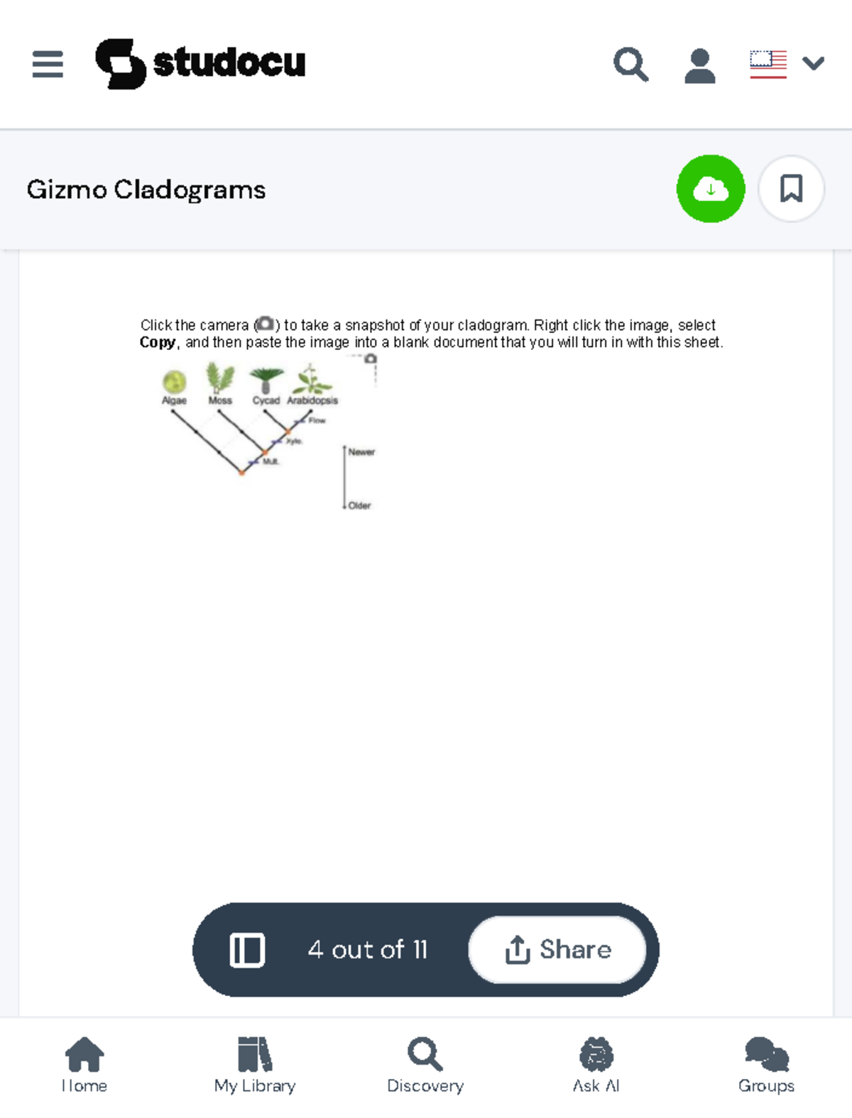 Gizmo Cladograms Name Date Student Exploration Cladograms Vocabulary