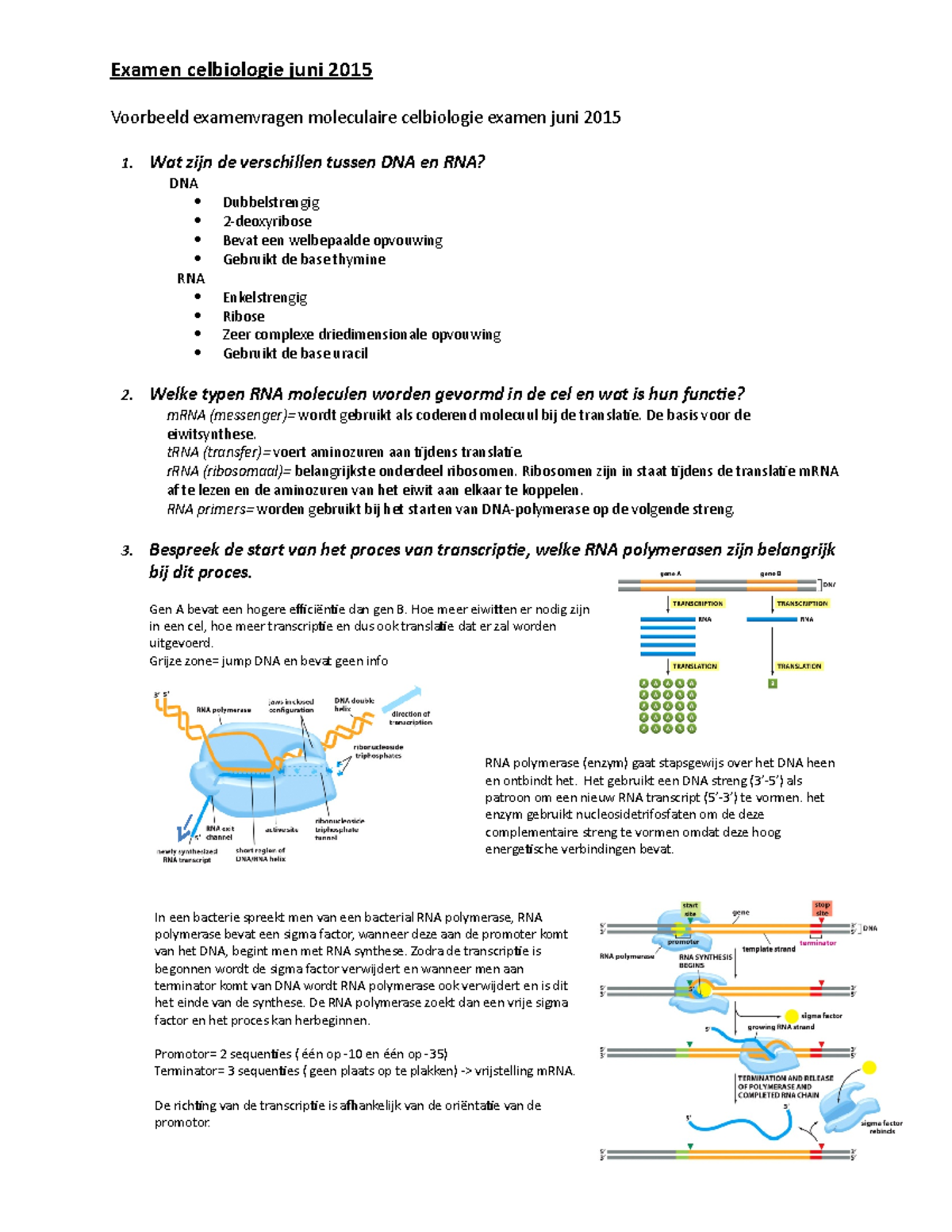 Biochemie - Examen Celbiologie Juni 2015 Voorbeeld Examenvragen ...