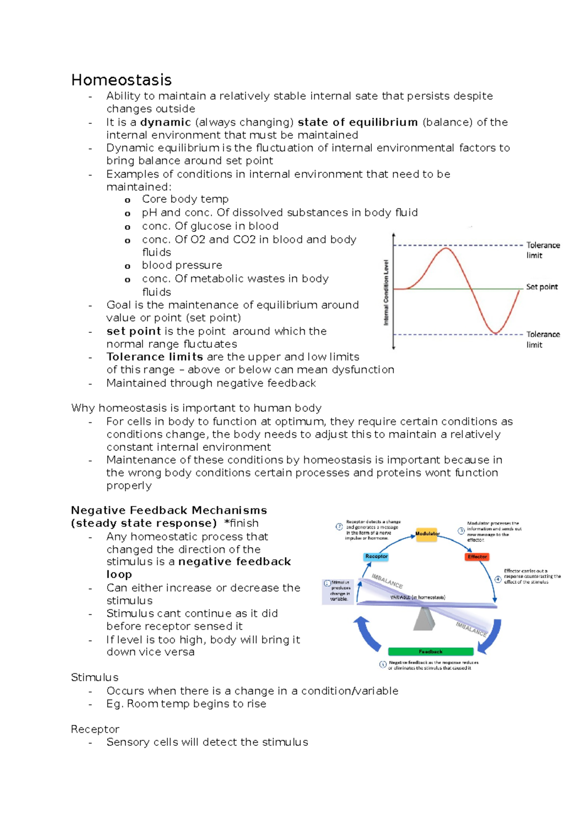 Homeostasis - Homeostasis Ability to maintain a relatively stable ...