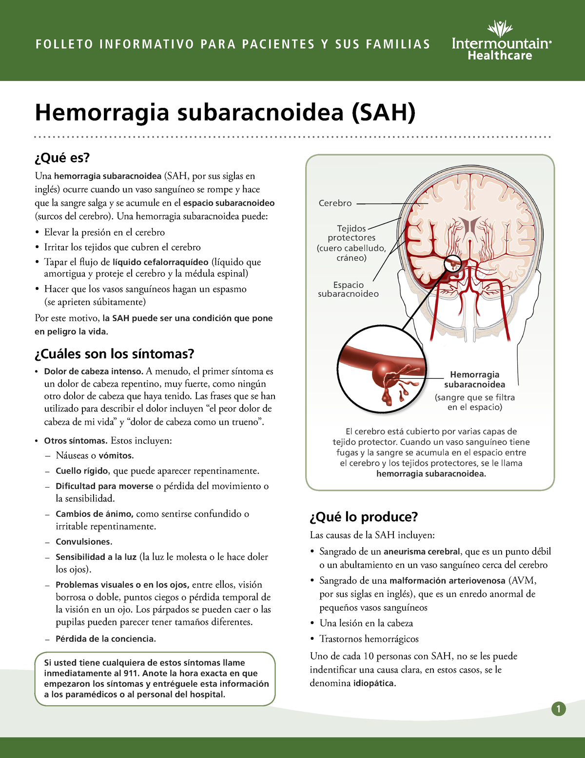 subarachnoid-hemorrhage-sah-fact-sheet-spanish-f-o-l-l-e-t-o-i-n-f-o