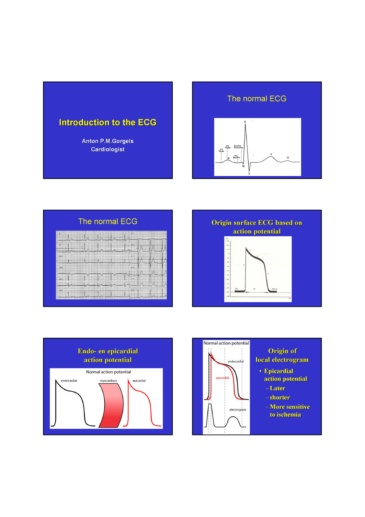 ecg-college-aantekeningen-cardiologie-the-normal-ecg-introduction