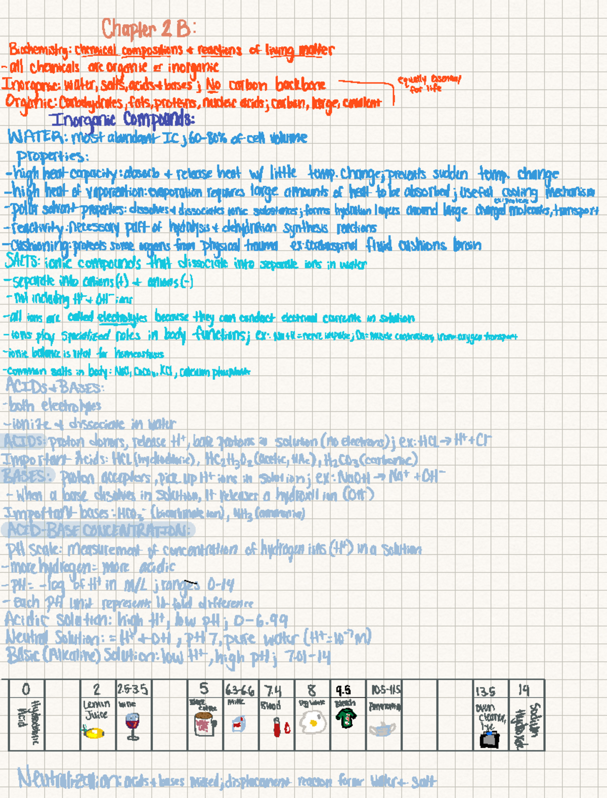 Chapter 2B Notes - Chapter 213 Biochemistrychemicalcompositions r ...