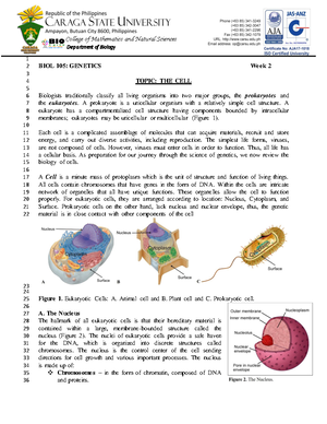 Lesson 2 The Cell - The Cell GENBIO notes - Biology Department Lesson 2 ...