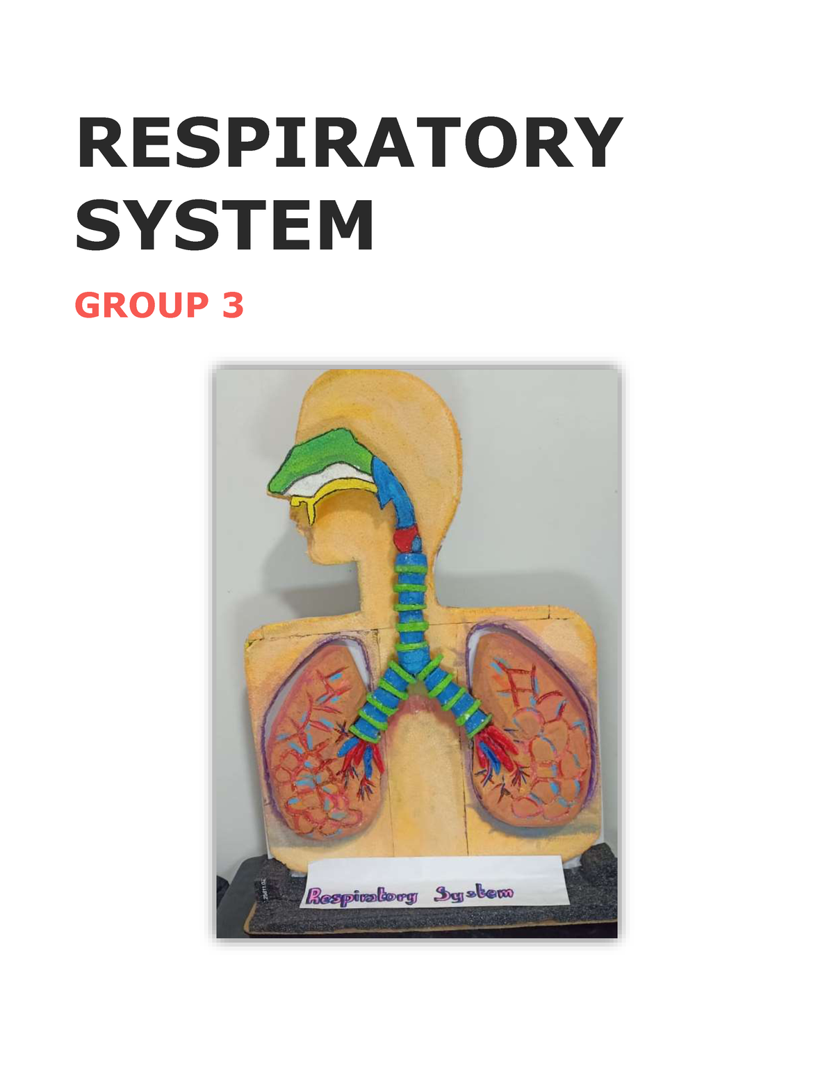 assignment respiratory system