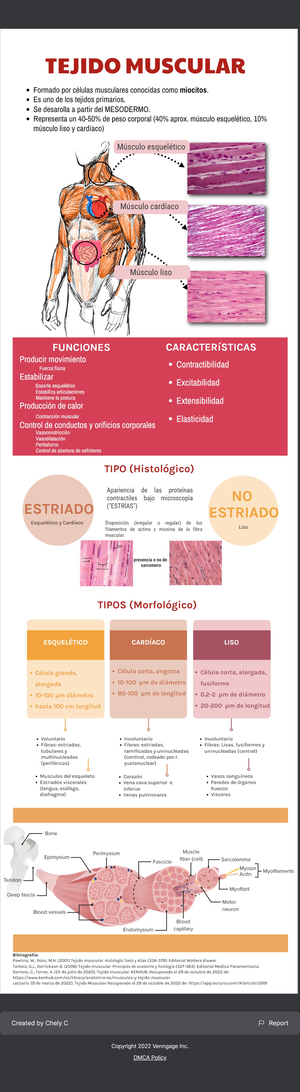 Cuadro Sinóptico del Tejido Nervioso - DJBJ - Daniel de Jesús Berrios ...