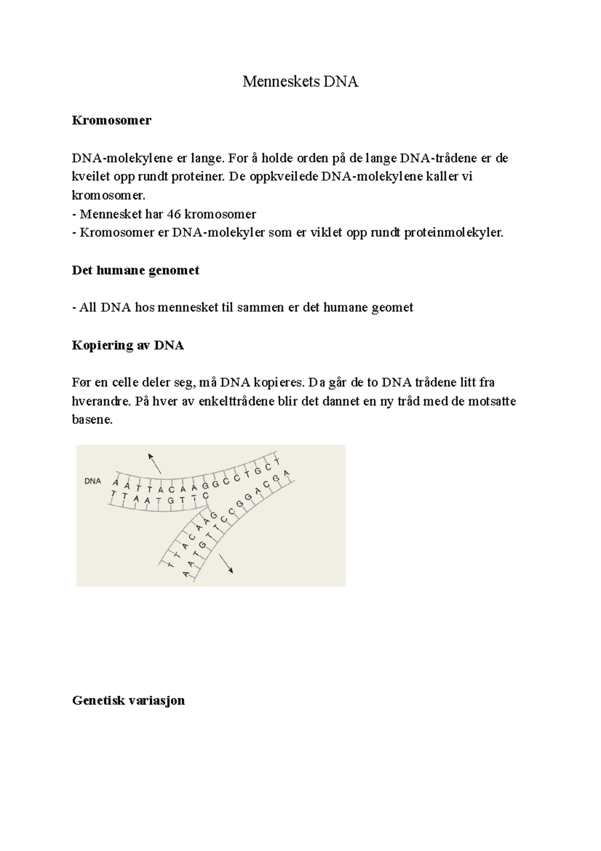 Menneskets DNA - Notater - Menneskets DNA Kromosomer DNA-molekylene Er ...