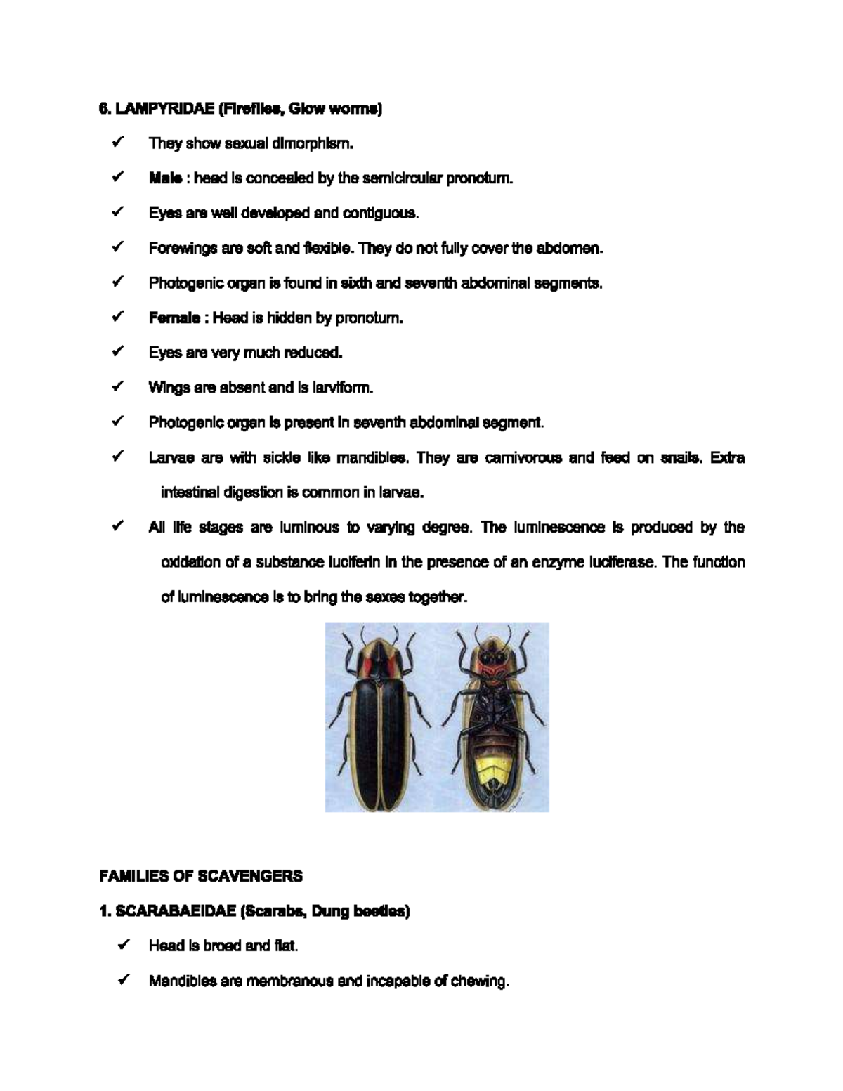 Entomology 15 - entomology - Studocu