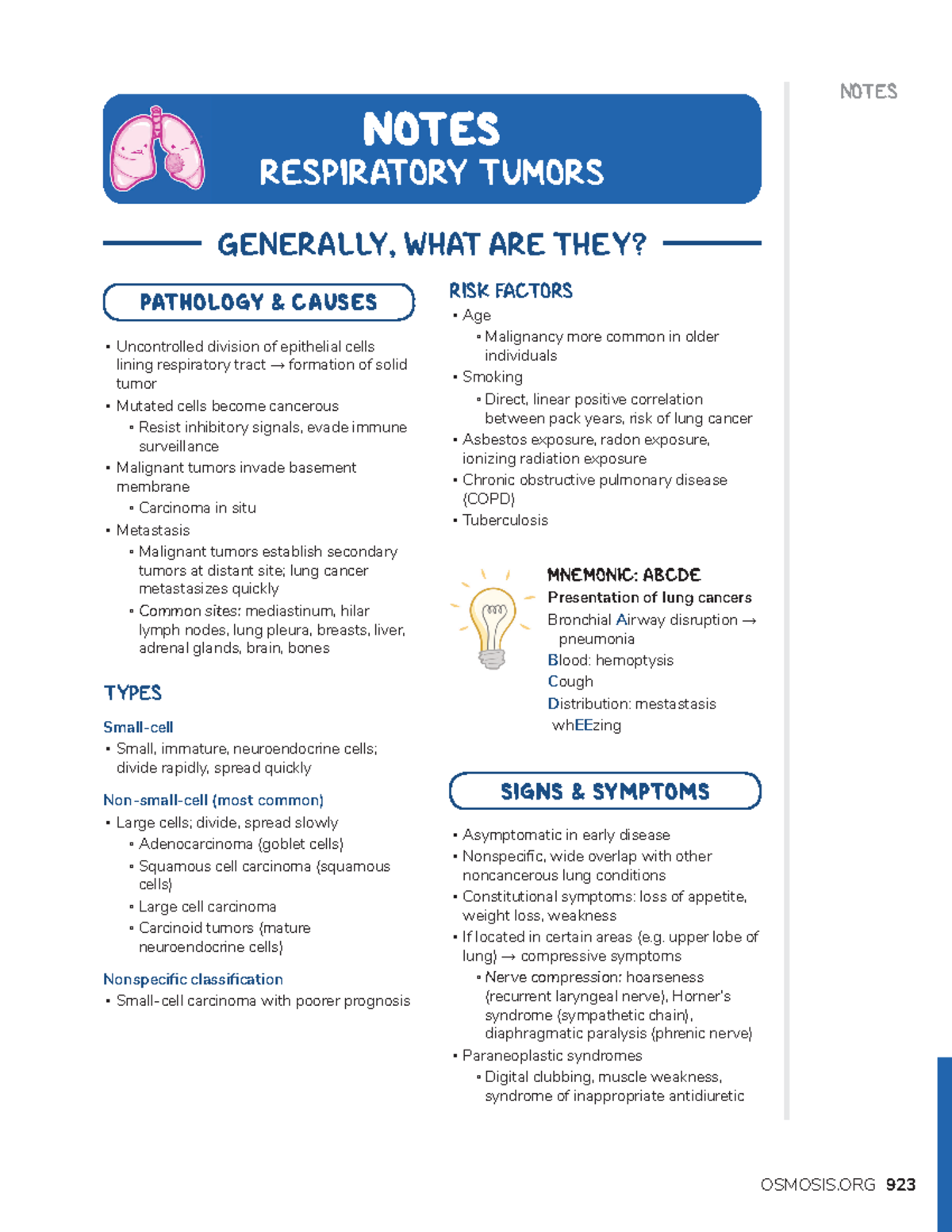 Respiratory tumors - NOTES GENERALLY, WHAT ARE THEY? NOTES RESPIRATORY ...