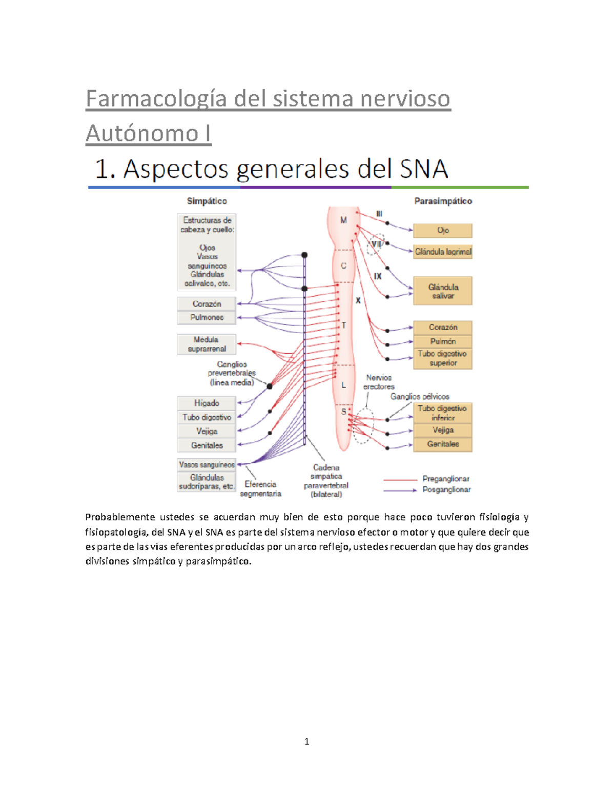 Fármacos Que Actuan En El Sistema Nervioso Autónomo Parte 1 Farmacolog ...