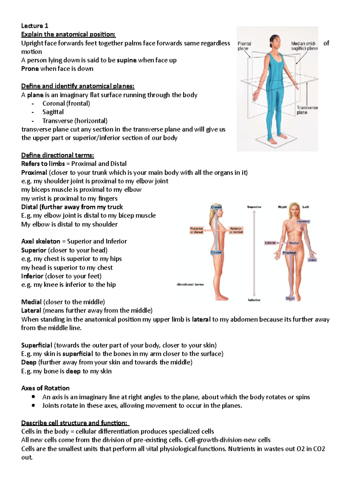 ANAT 101 - Lecture notes 1-4 - Lecture 1 Explain the anatomical ...